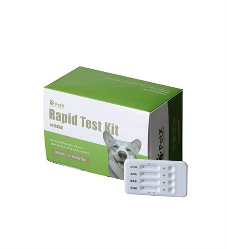 Giardia Antigen Rapid Test